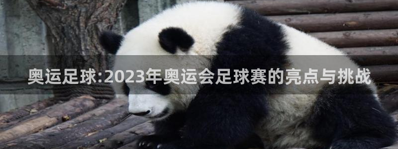 vsport体育在线官网：奥运足球:2023年奥运会足球赛的
