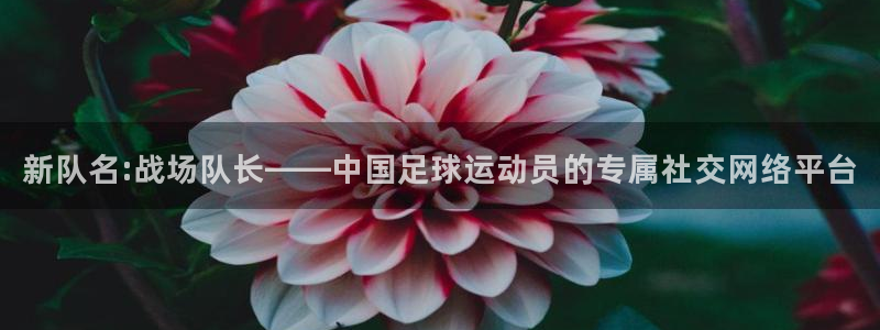 vsport体育：新队名:战场队长—