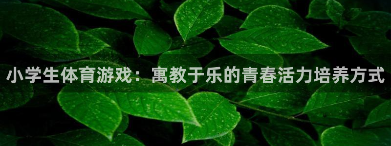 betway西汉姆联官网