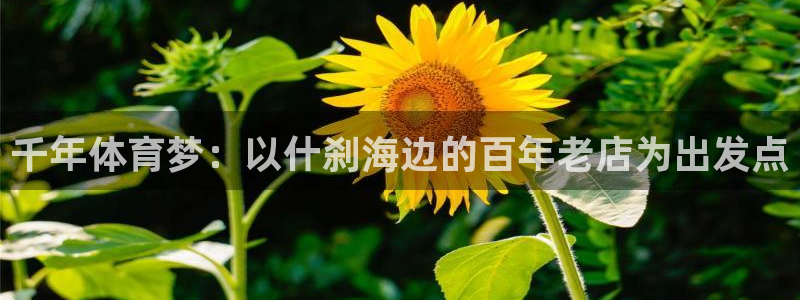 betway西汉姆联官网：千年体育梦：以什刹海边的百年老店为出发点