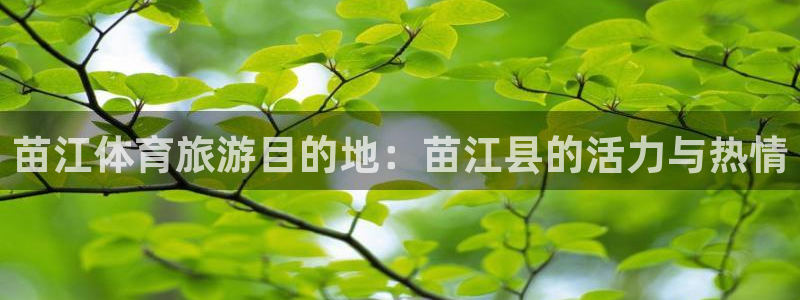 betway西汉姆联官网：苗江体育旅游目的地：苗江县的活力与热情